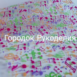 Ековініл 20*10, колір ПРОЗОРИЙ+НОТИ