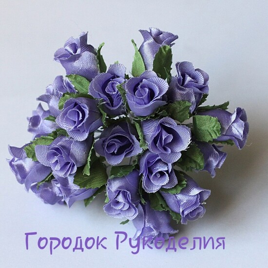 Квіти троянда атласна